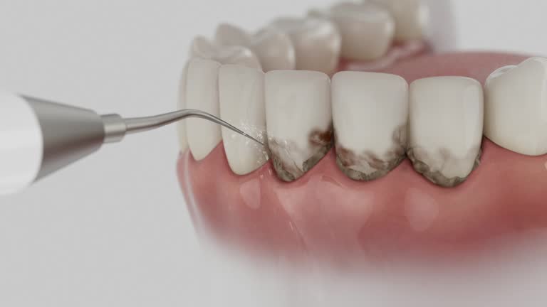 Reliable Dental contractor in North Miami, FL by Dentist Open Now